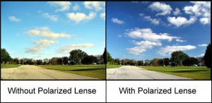 polarized lense